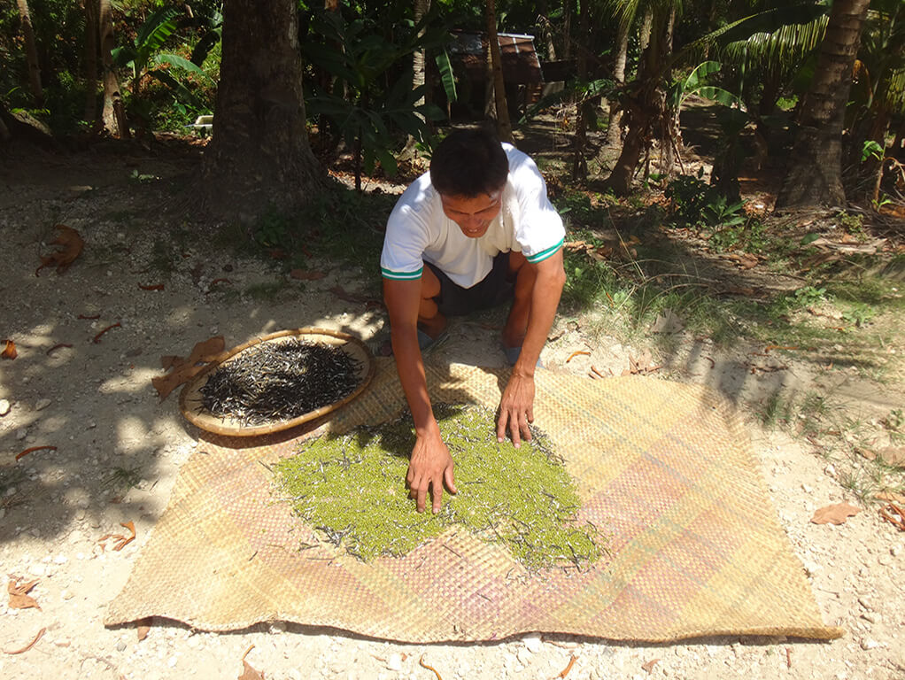 Village traditionnel Philippin