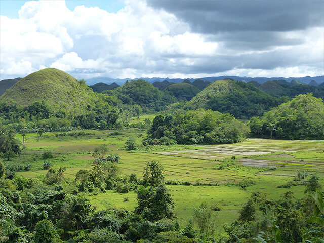 Les collines Chocolat de Bohol