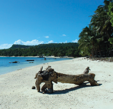 Articles et actualités aux Philippines