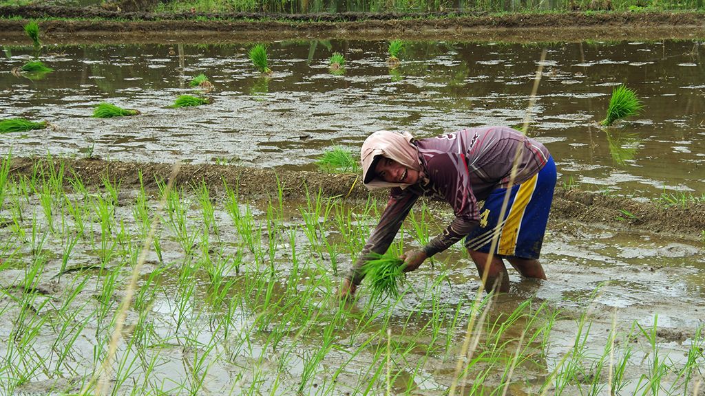 Pourquoi visiter les Philippines pendant la mousson