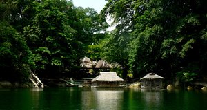 L'île de Negros aux Philippines