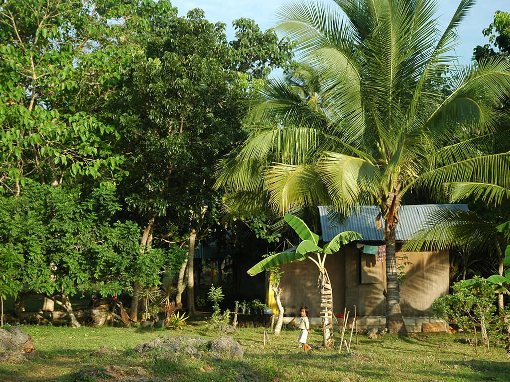 Paysage de campagne à Bohol.