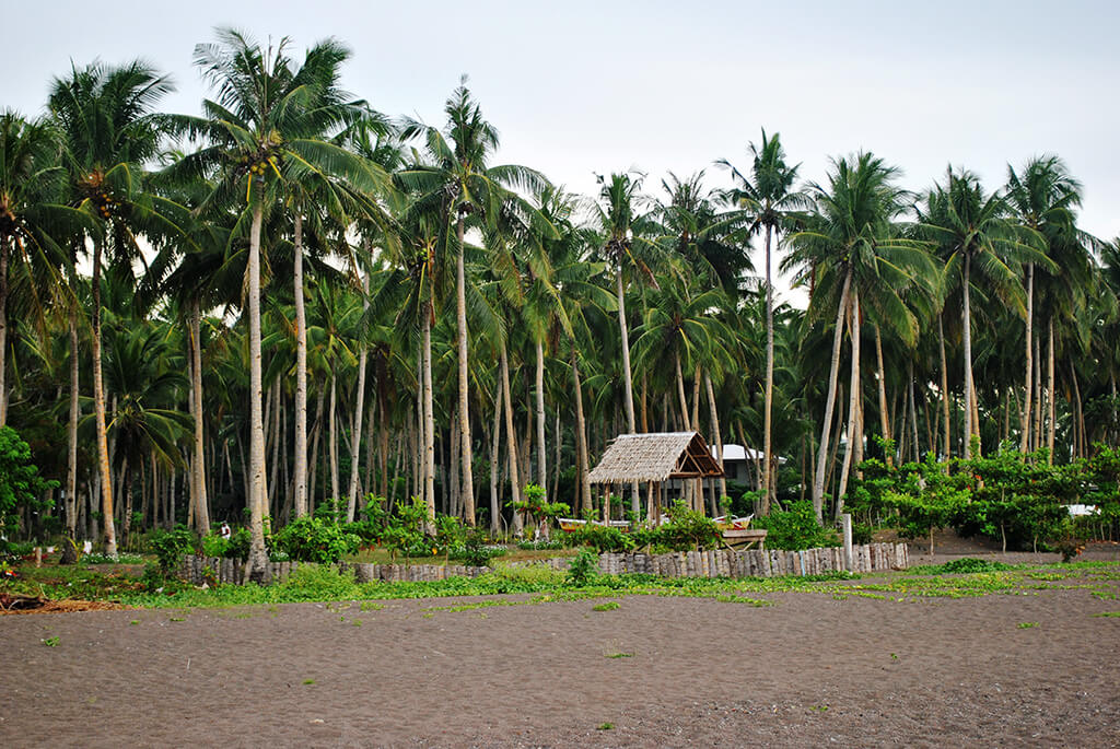  Plage dans les régions de Camiguin et Siargao.