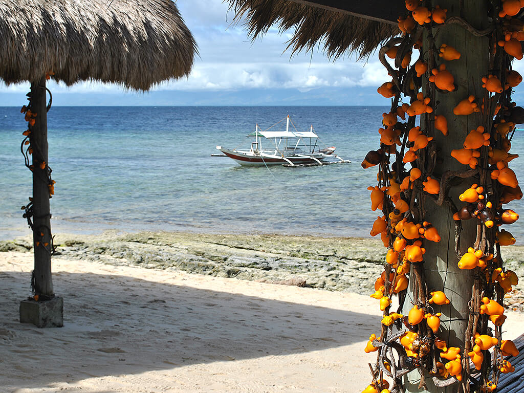 Plage à cebu.