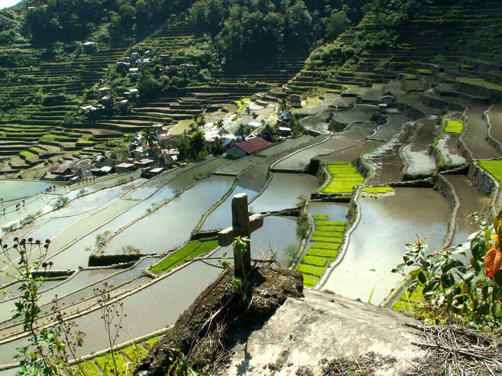 Banaue, écrin des célèbres rizières en terrasses, patrimoine mondial de l’humanité.