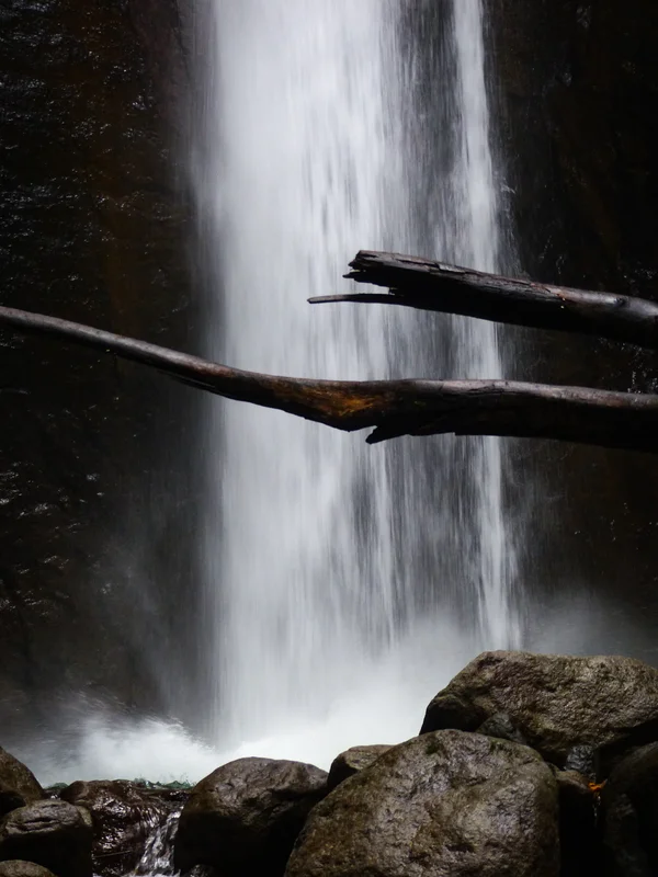 Paysages de l'île d'Apo dans la région de Negros aux Philippines