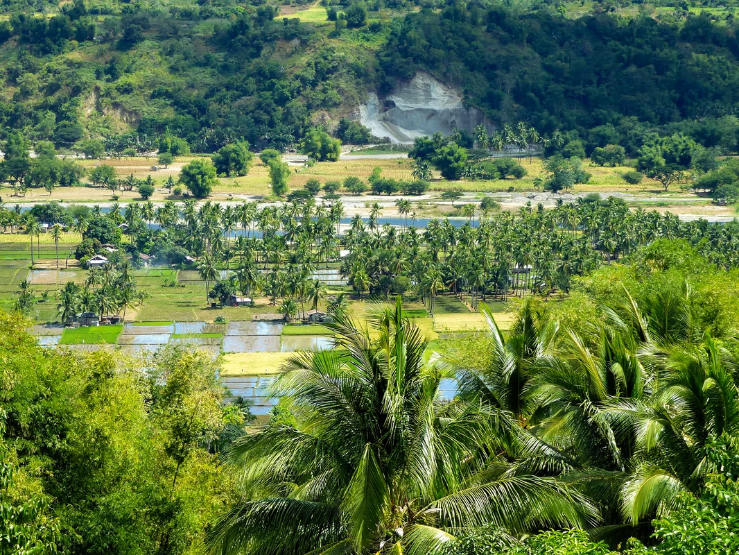 Le lac Balanan à Negros aux Philippines