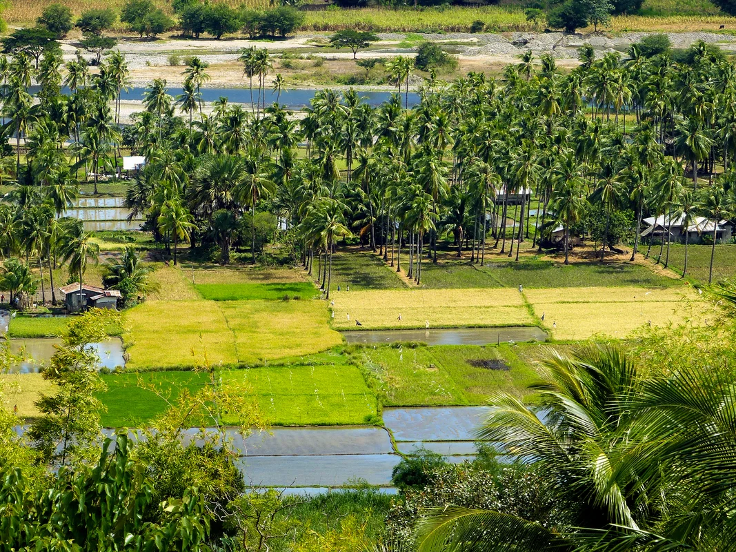 Le lac Balanan à Negros aux Philippines
