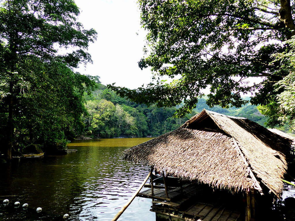 Hutte au bord de l'eau dans les régions de Negros et Apo.