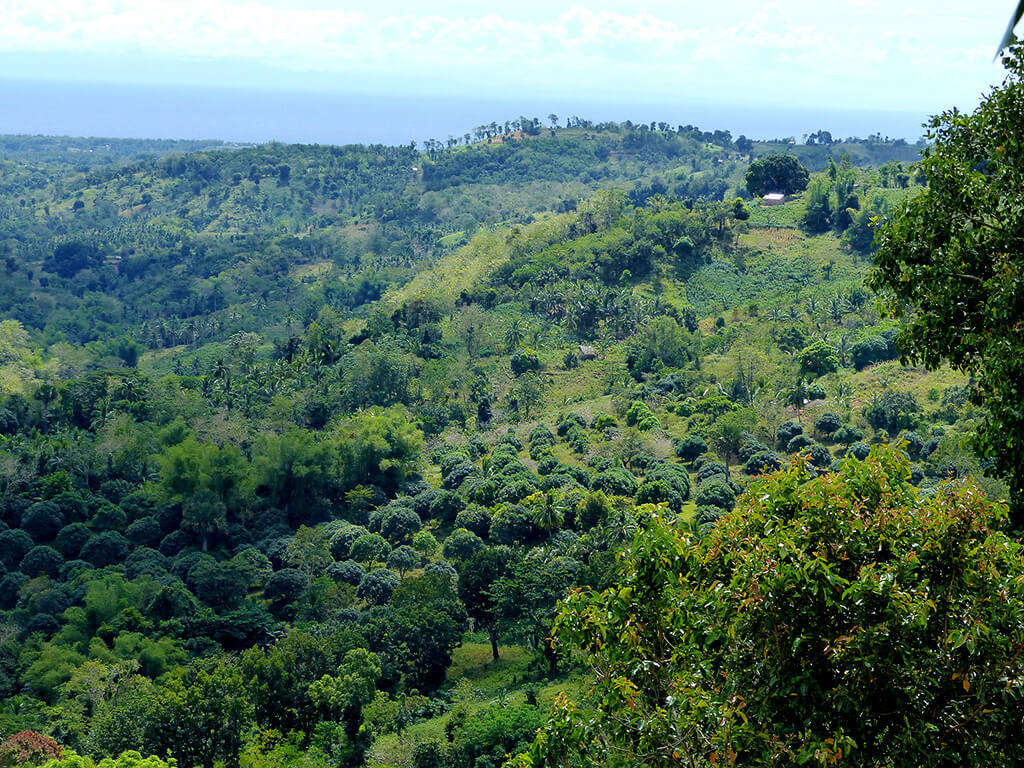 Vue sur les montagnes à Negros et Apo.