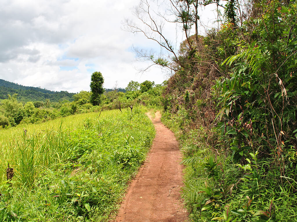 Chemin de terre à Palawan, Philippines.