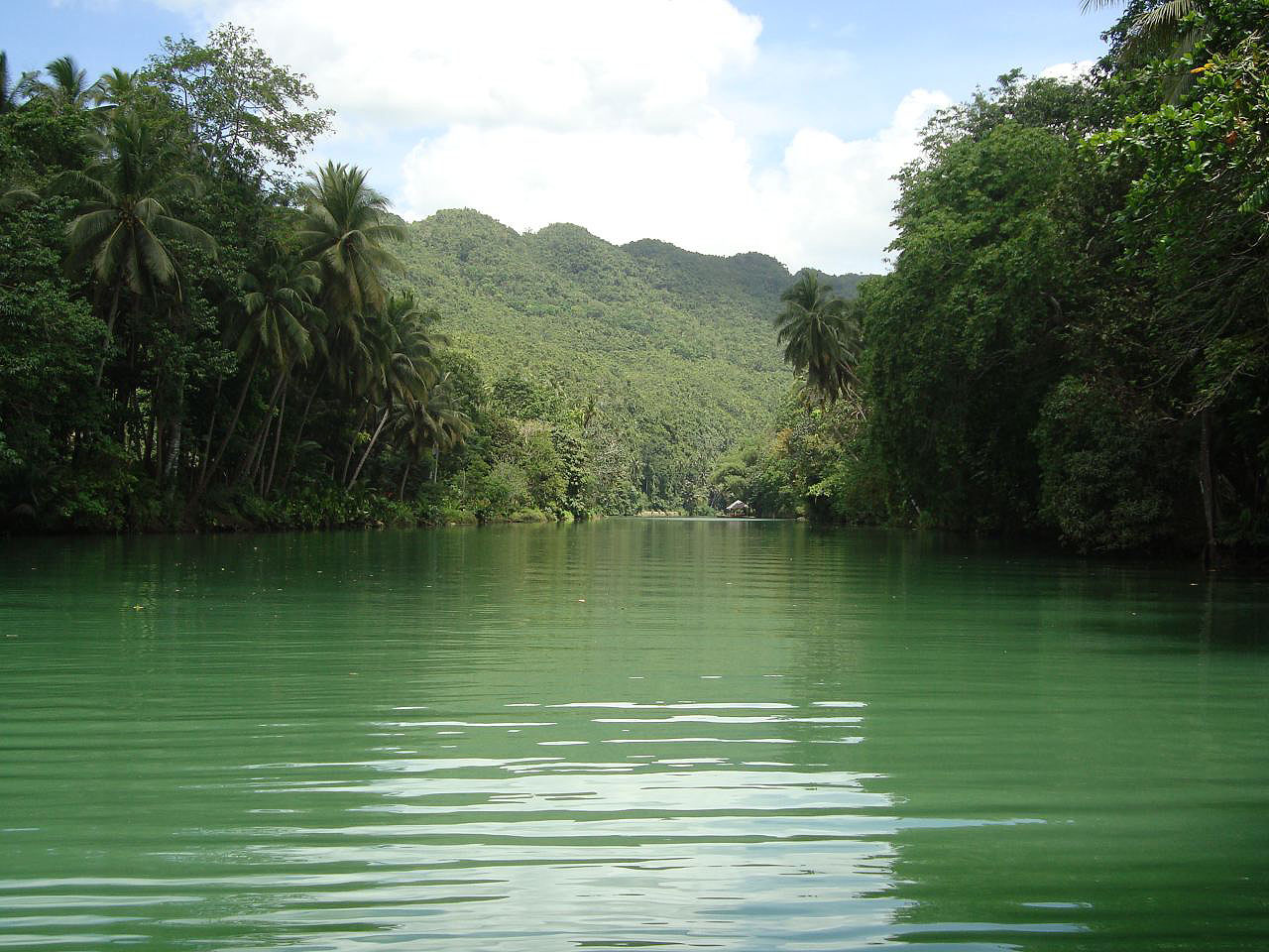 Les montagnes et campagnes des Philippines