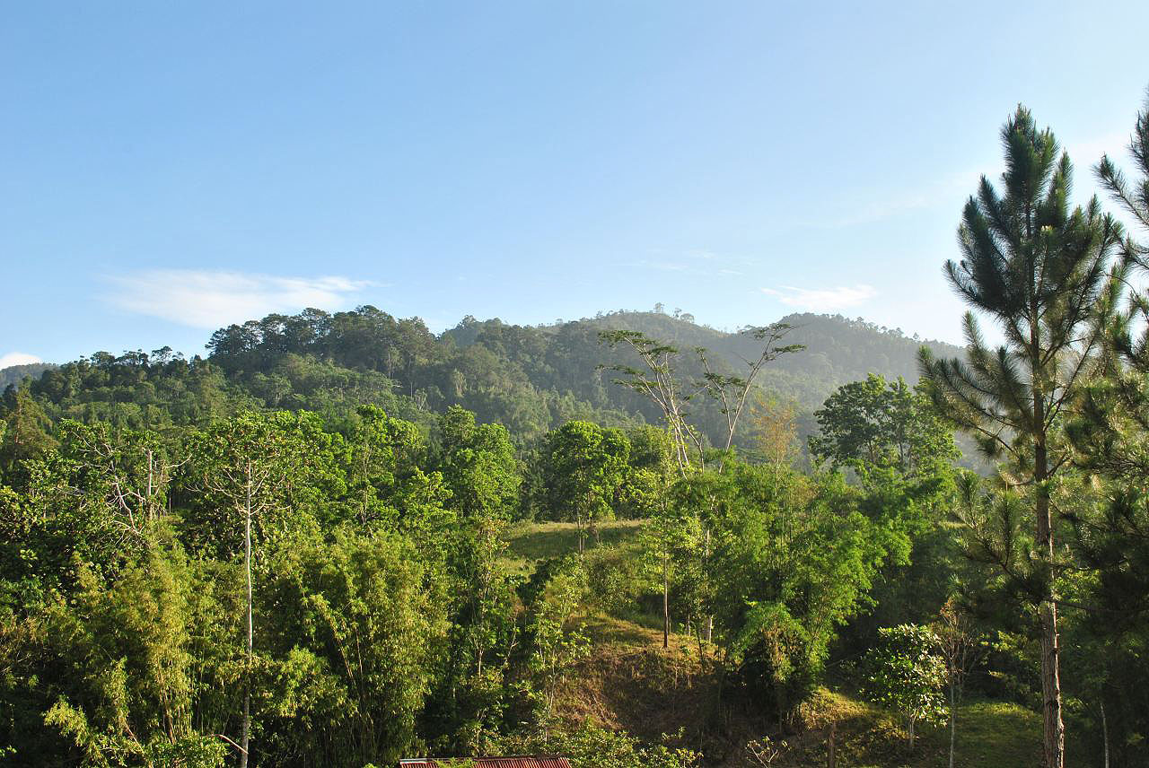 Les montagnes et campagnes des Philippines