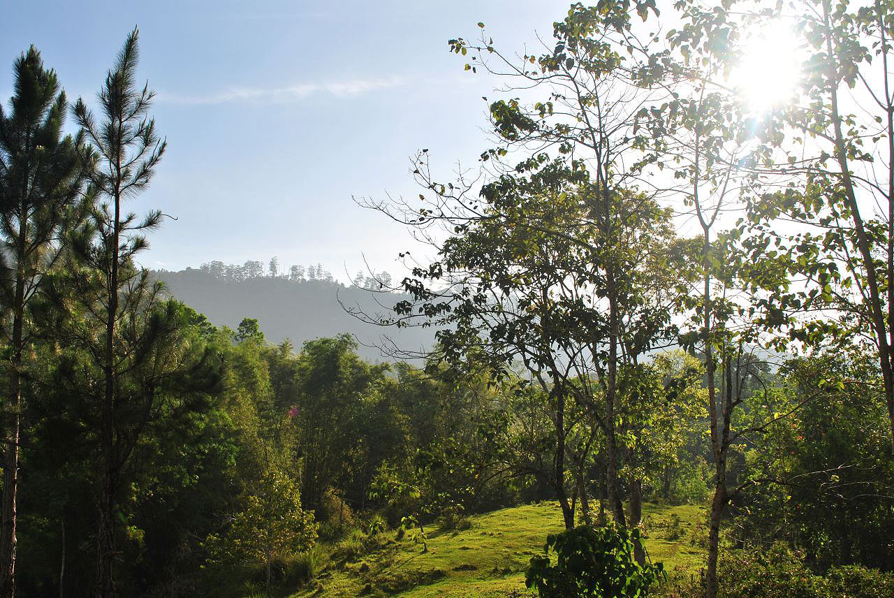 Les montagnes et campagnes des Philippines