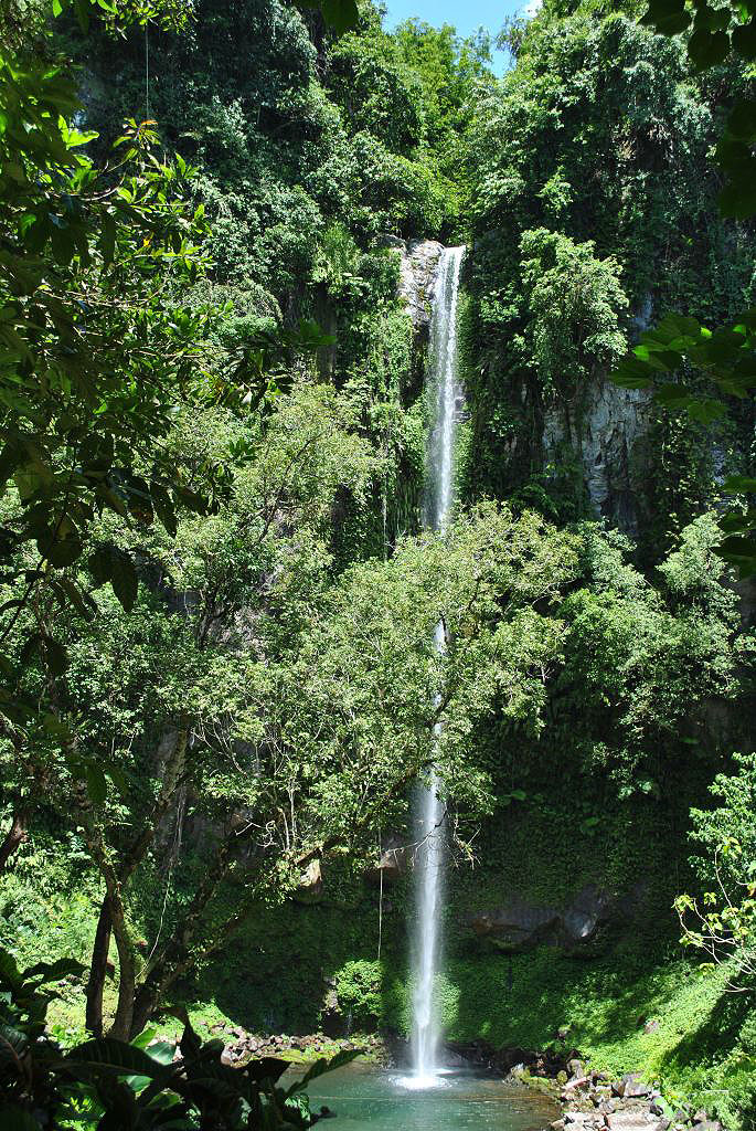 Les montagnes et campagnes des Philippines