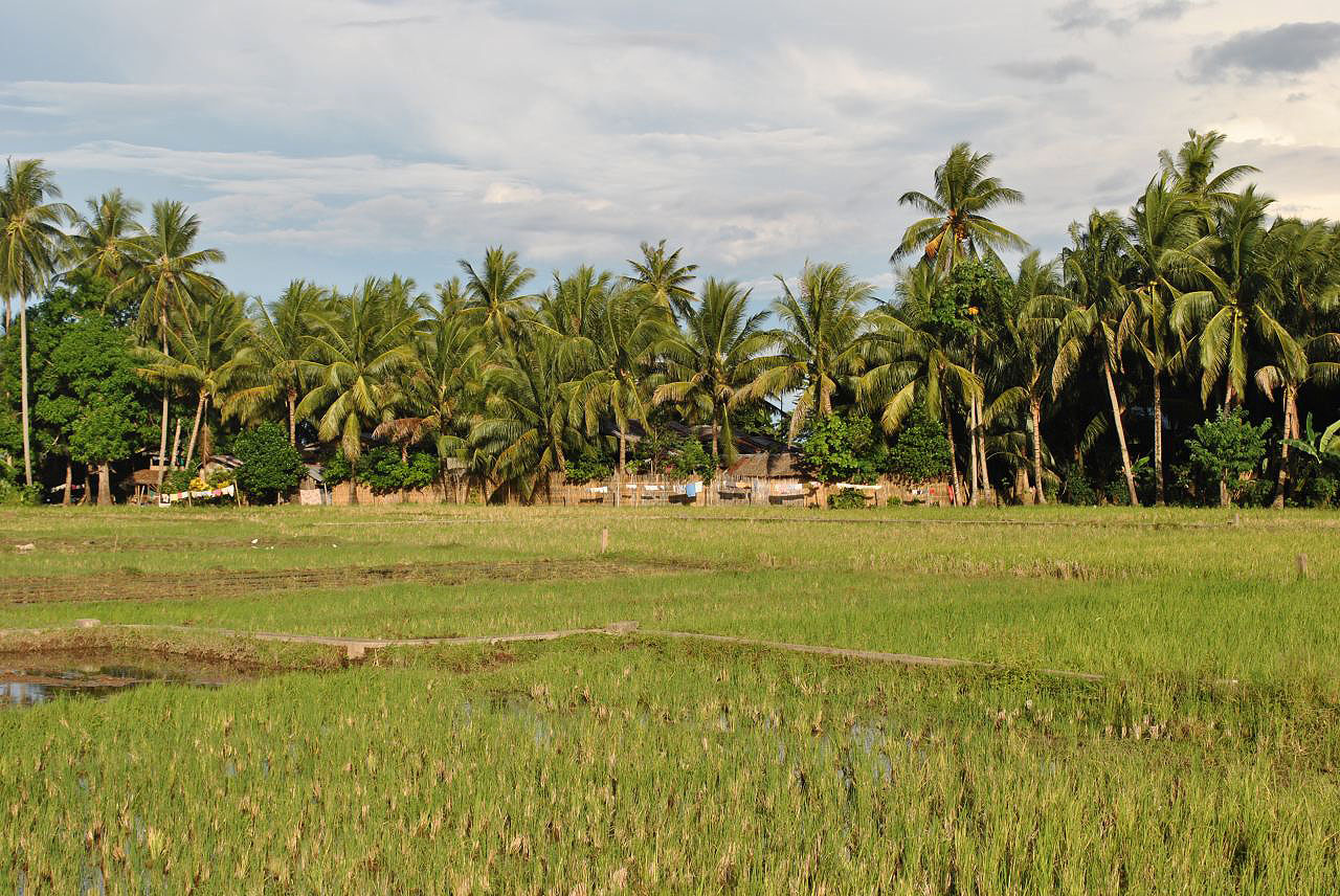 Les montagnes et campagnes des Philippines