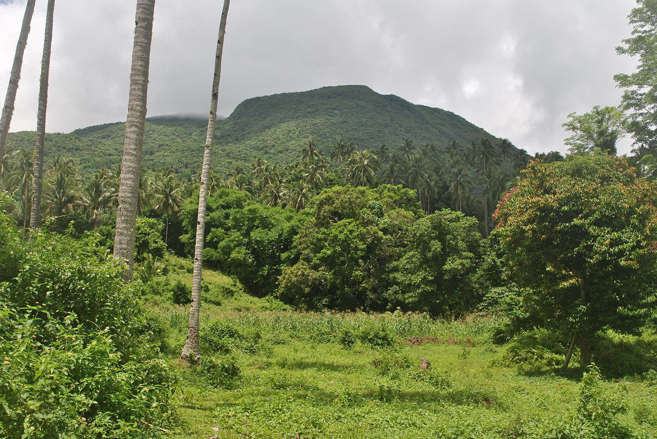 Les montagnes et campagnes des Philippines