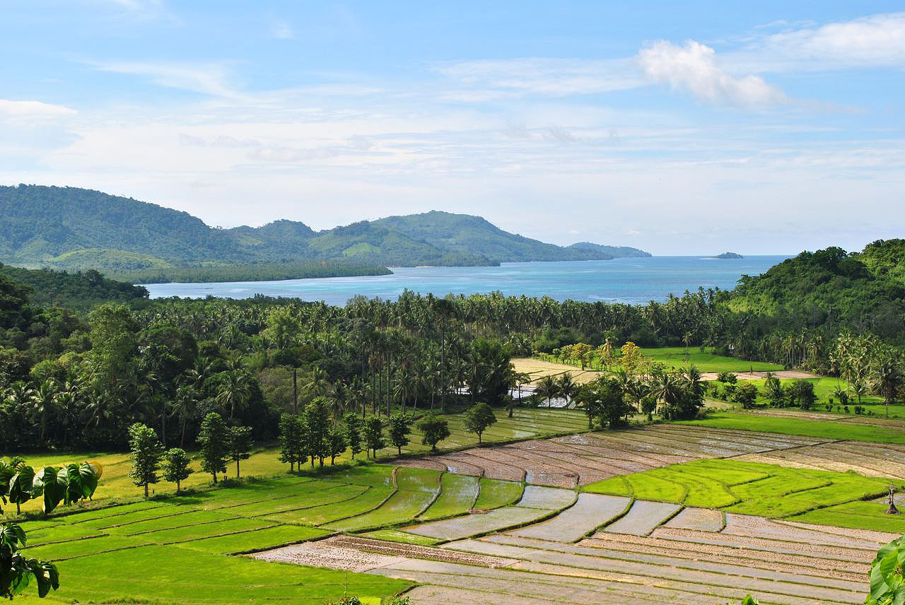 Les montagnes et campagnes des Philippines