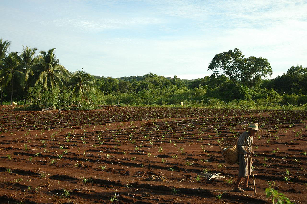 Les montagnes et campagnes des Philippines