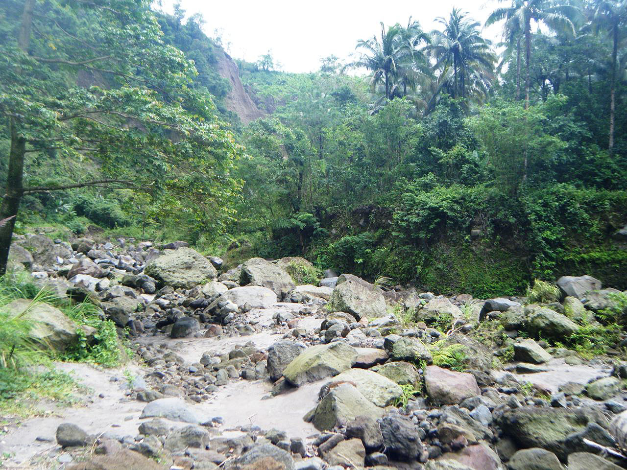 Les montagnes et campagnes des Philippines