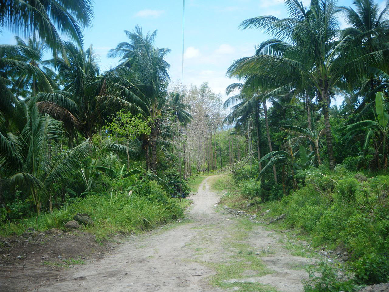 Les montagnes et campagnes des Philippines