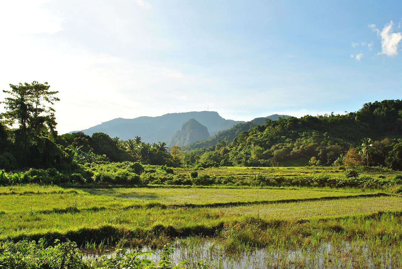 Les montagnes et campagnes des Philippines