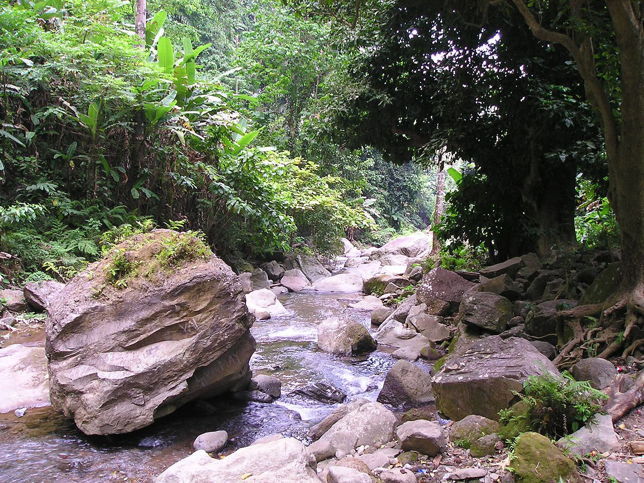 Les montagnes et campagnes des Philippines