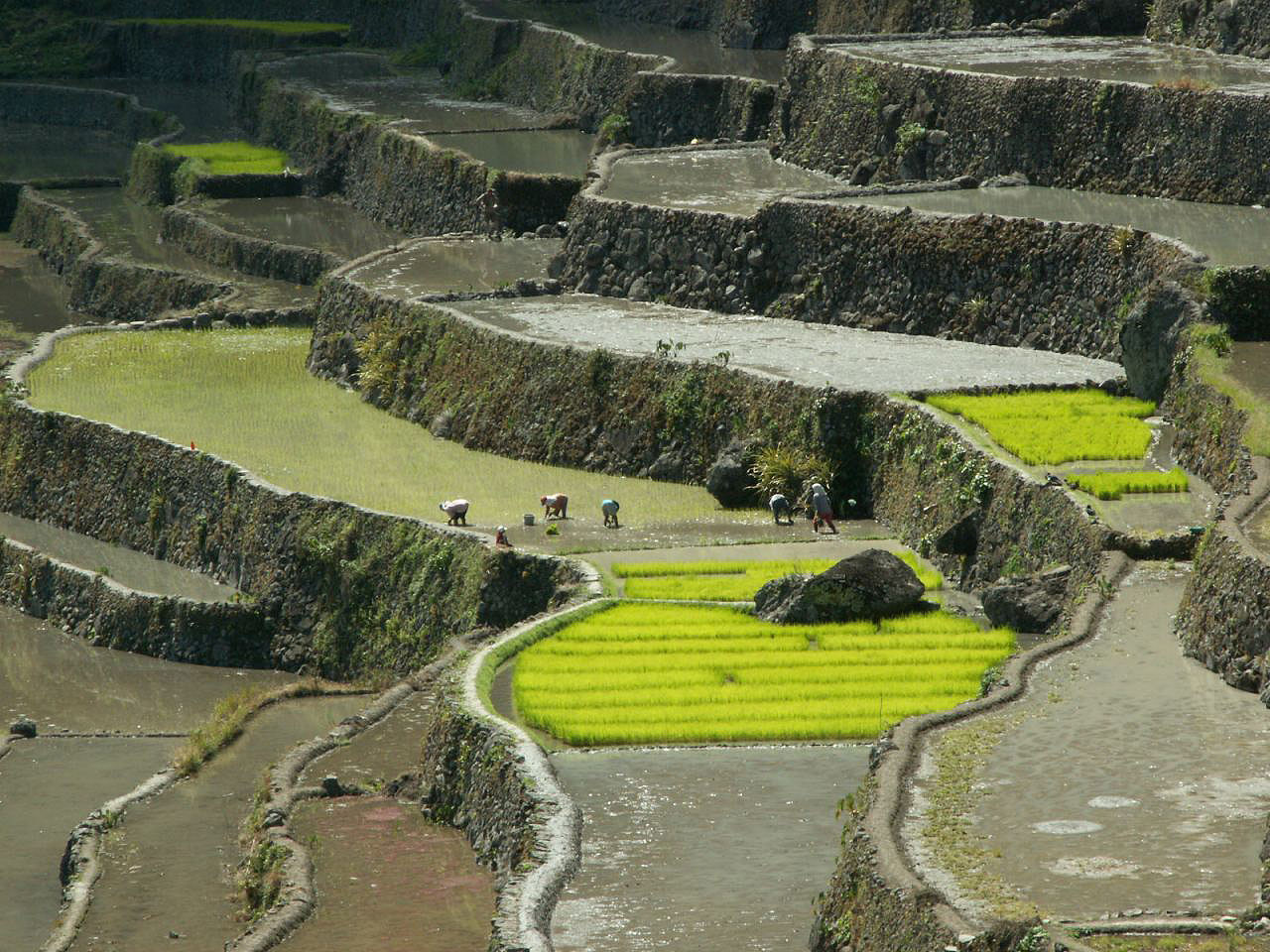 Les montagnes et campagnes des Philippines