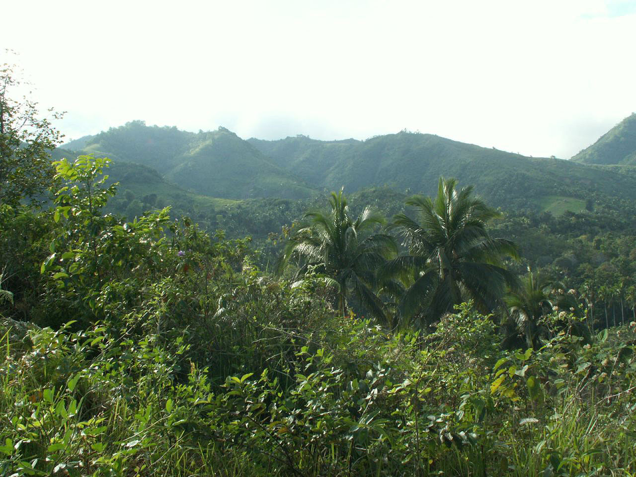 Les montagnes et campagnes des Philippines