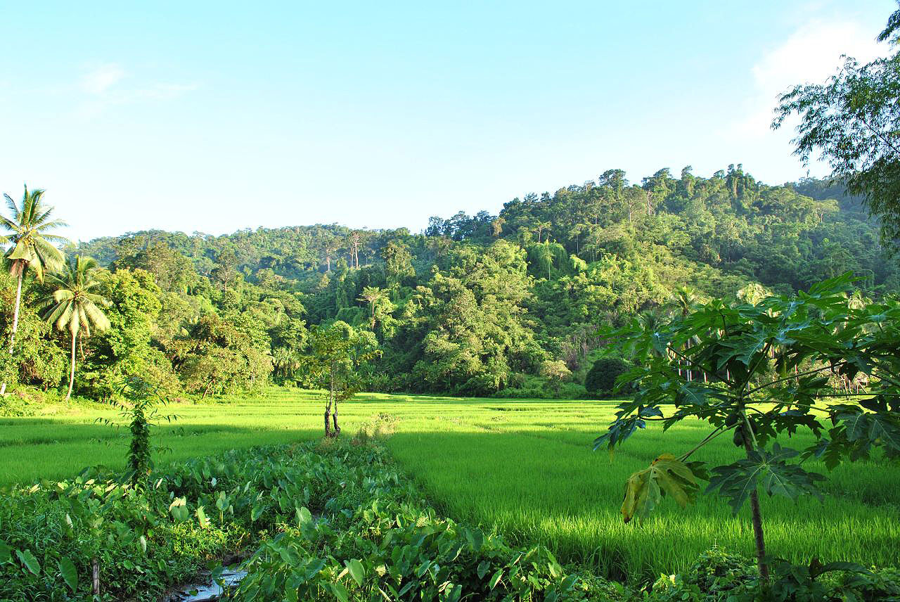 Les montagnes et campagnes des Philippines