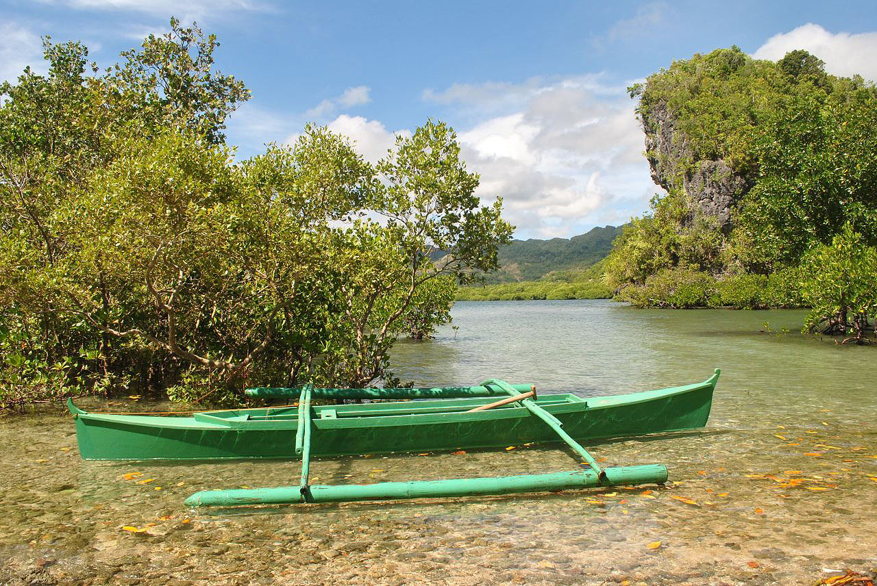 Les montagnes et campagnes des Philippines