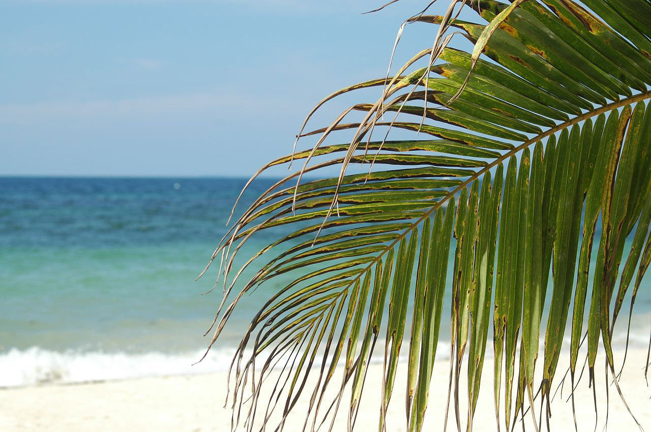 Les plages et îles paradisiaques des Philippines