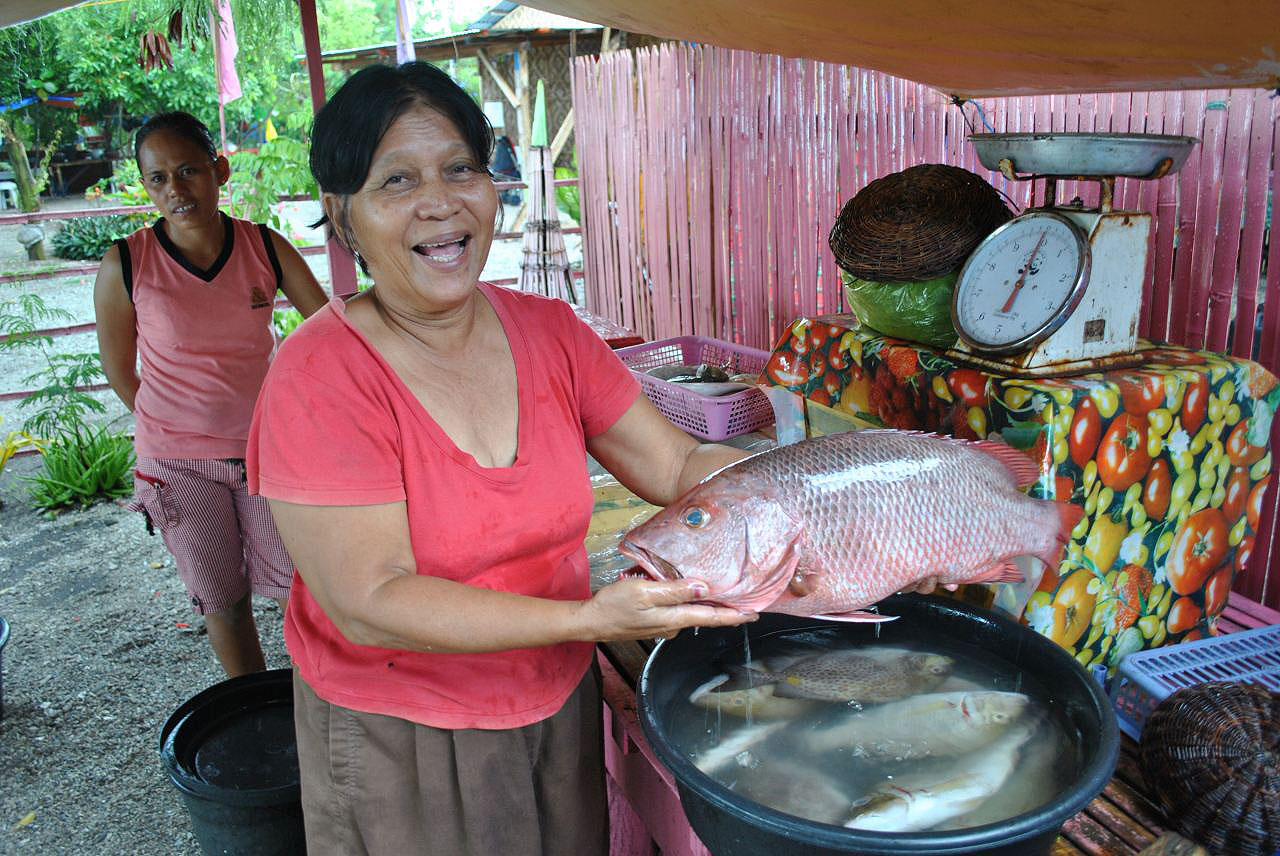 Population et vie locale aux Philippines