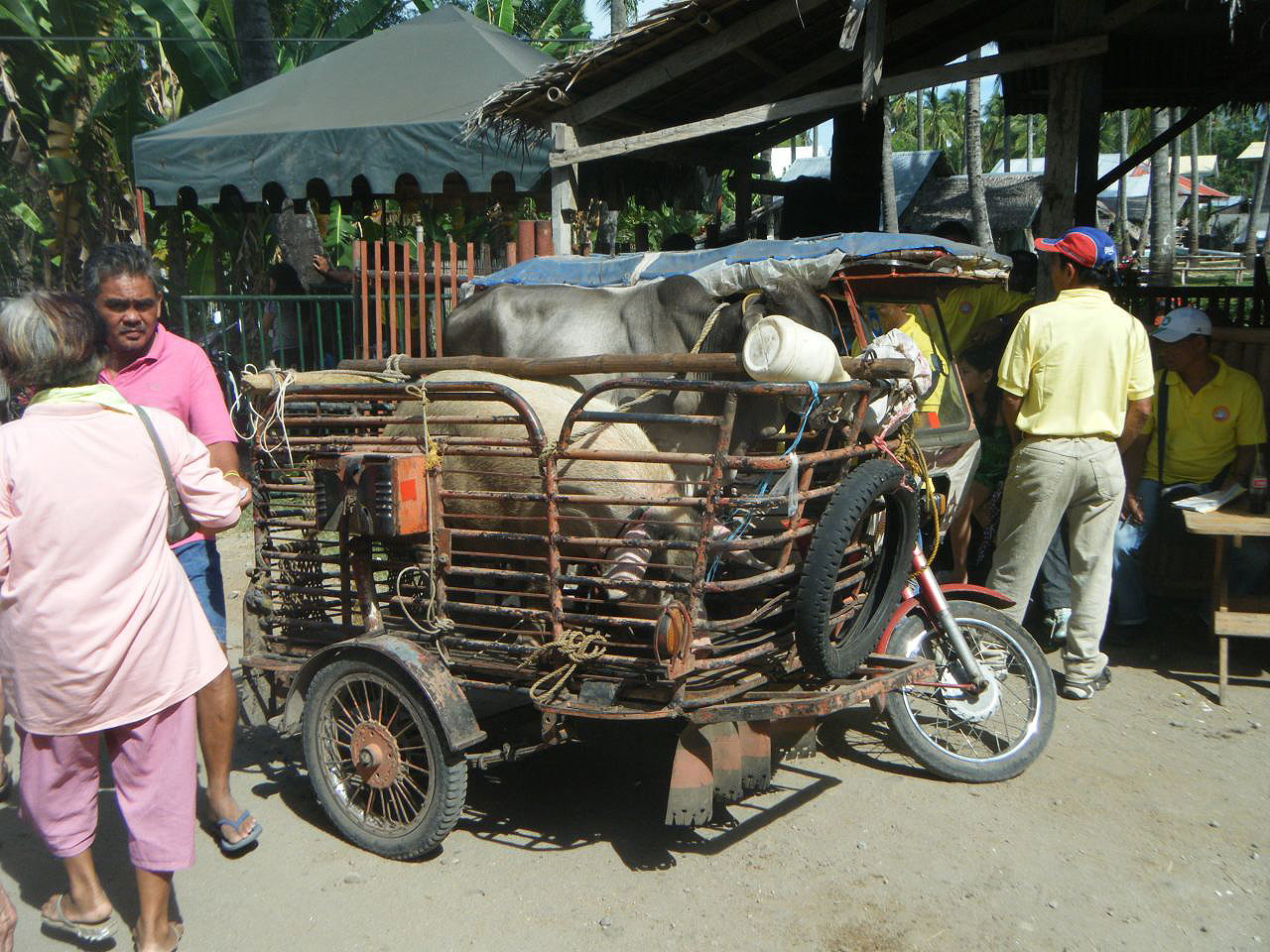 Population et vie locale aux Philippines