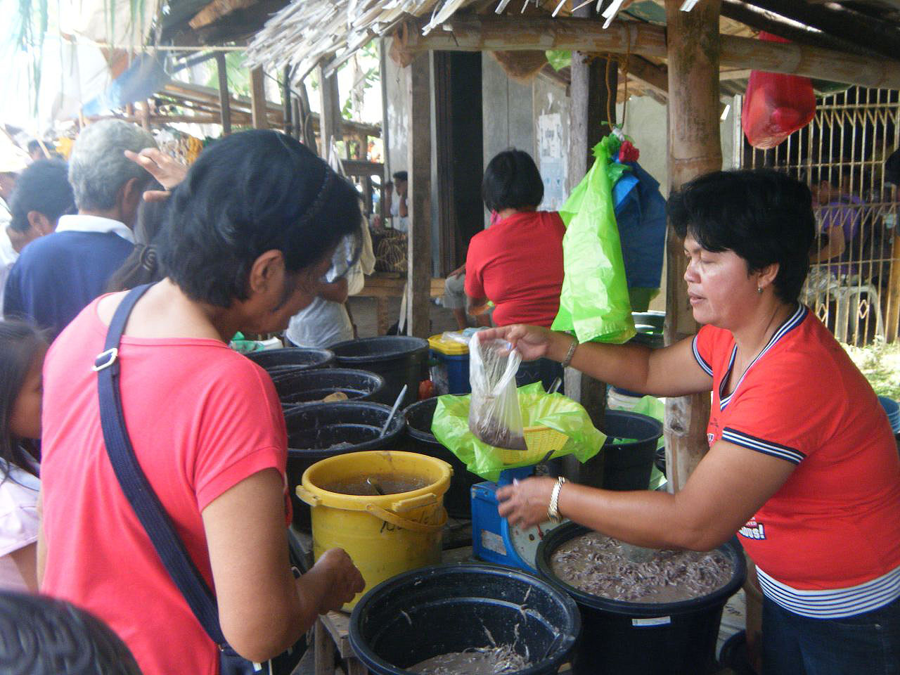 Population et vie locale aux Philippines