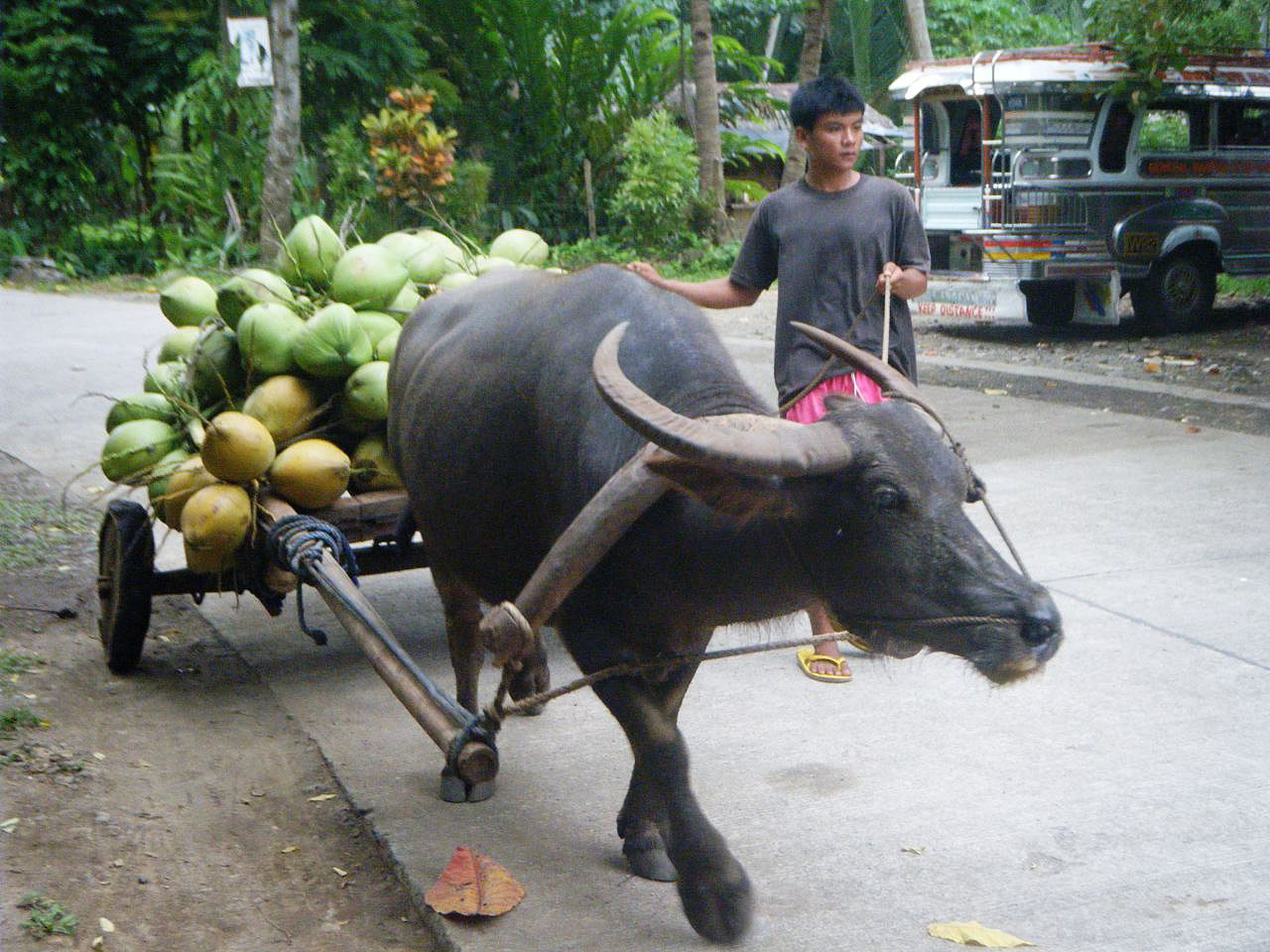 Population et vie locale aux Philippines